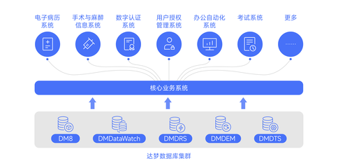 達(dá)夢數(shù)據(jù)助力廈門大學(xué)附屬成功醫(yī)院核心業(yè)務(wù)系統(tǒng)信創(chuàng)改造 — 打造國產(chǎn)數(shù)據(jù)庫服務(wù)新模式